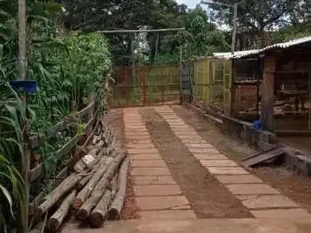 Fazenda venda em Região Geográfica Imediata de Oliveira, Bonfim