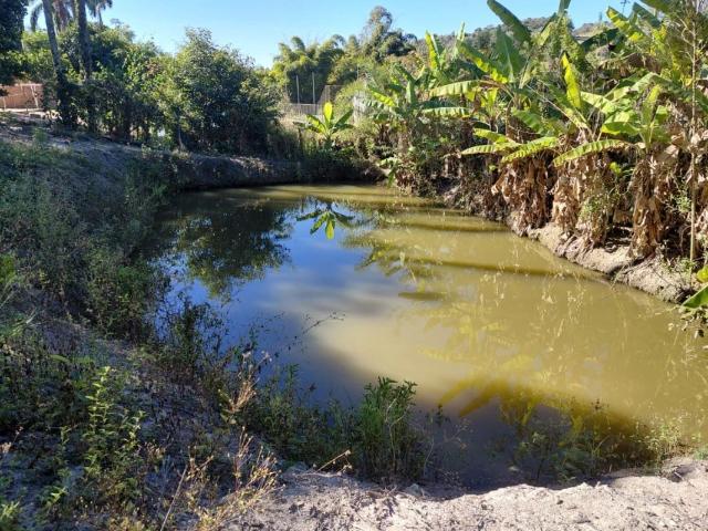 Fazenda venda em Santo Antônio da Vargem Alegre, Bonfim