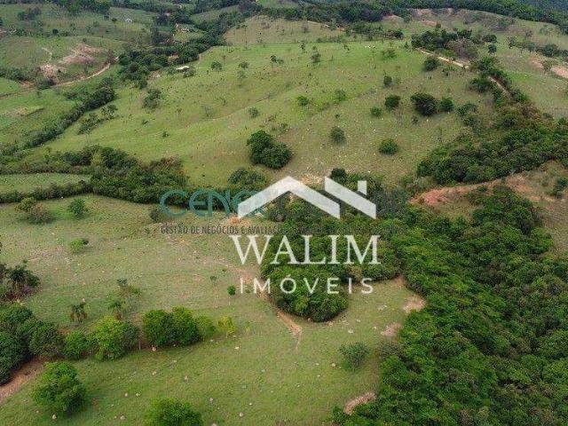 Fazenda venda em Bonfim, Centro