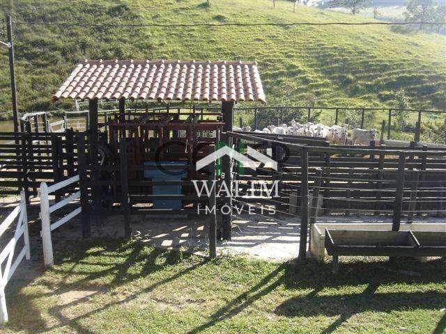 Fazenda venda em Bonfim, Centro