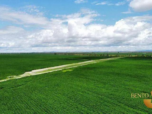 Fazenda venda em Região Geográfica Imediata de Boa Vista, Bonfim