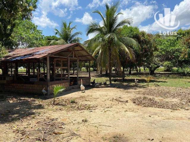Fazenda venda em Penedo