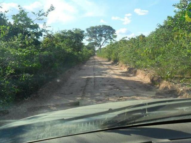 Sítio e chácara venda em Região Geográfica Imediata de Unaí, Bonfinópolis de Minas