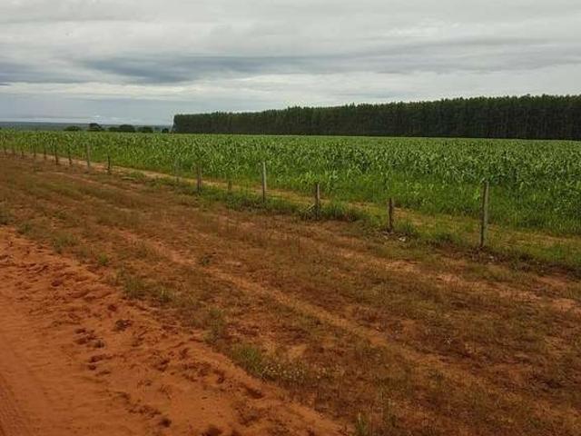 Fazenda venda em Região Geográfica Imediata de Unaí, Bonfinópolis de Minas