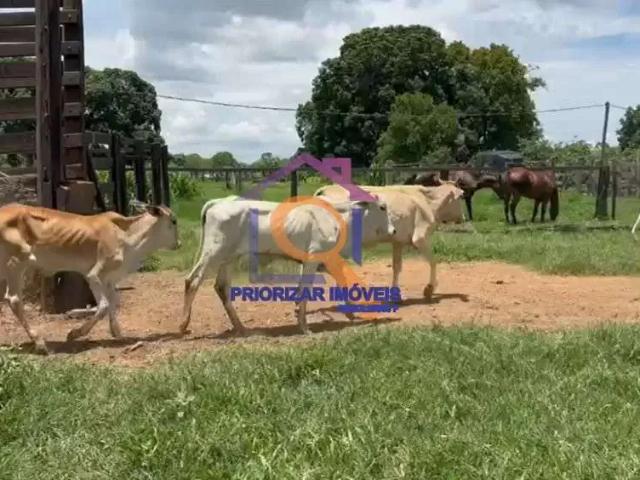 Fazenda venda em Região Geográfica Imediata de Unaí, Bonfinópolis de Minas