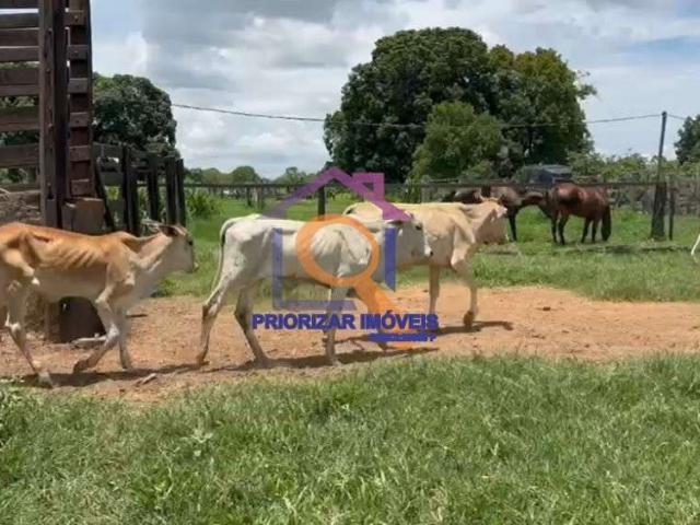 Fazenda venda em Região Geográfica Imediata de Unaí, Bonfinópolis de Minas