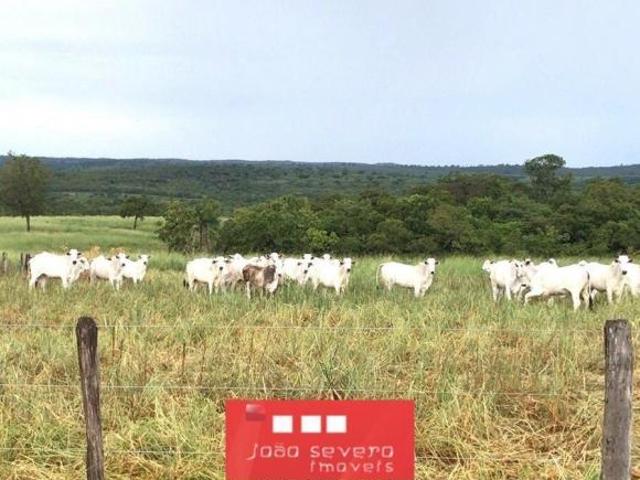 Sítio e chácara venda em Região Geográfica Imediata de Jardim, Bonito