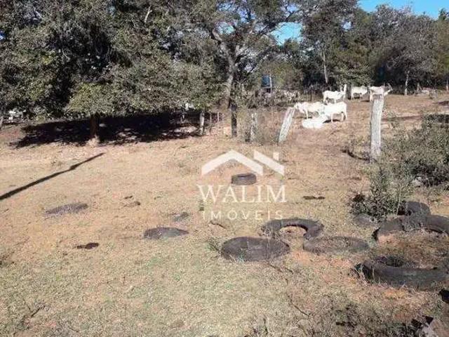 Fazenda venda em Região Geográfica Imediata de Januária, Bonito de Minas