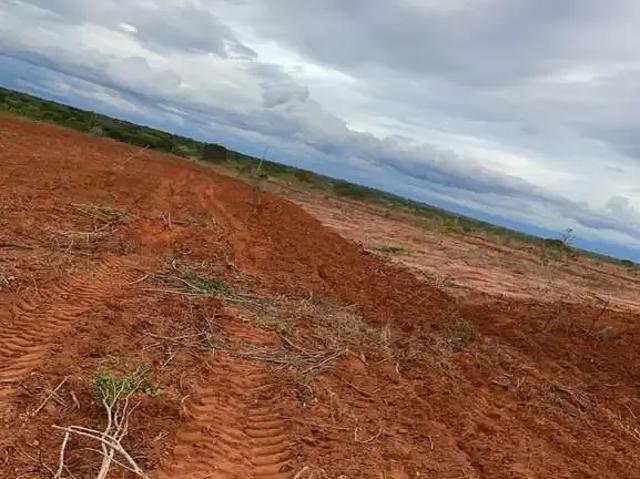 Fazenda venda em Região Geográfica Imediata de Januária, Bonito de Minas