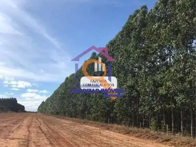 Fazenda venda em Região Geográfica Imediata de Januária, Bonito de Minas