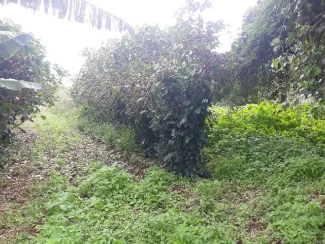 Fazenda venda em Bonito, Região Nordeste