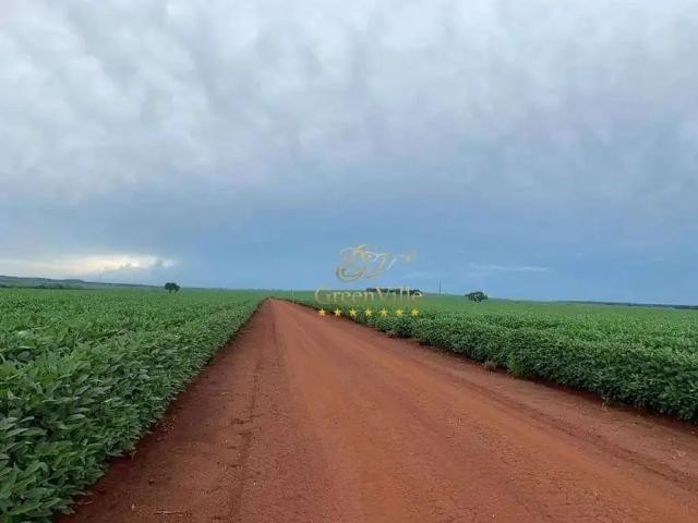 Fazenda venda em Região Geográfica Imediata de Jardim, Bonito