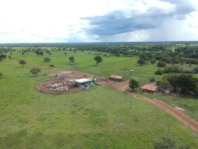 Fazenda venda em Região Geográfica Imediata de Porangatu, Bonópolis
