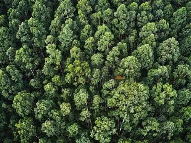 Fazenda venda em Região Geográfica Imediata de Juazeiro, Região Administrativa Integrada de Desenvolvimento do Polo Petrolina e Juazeiro