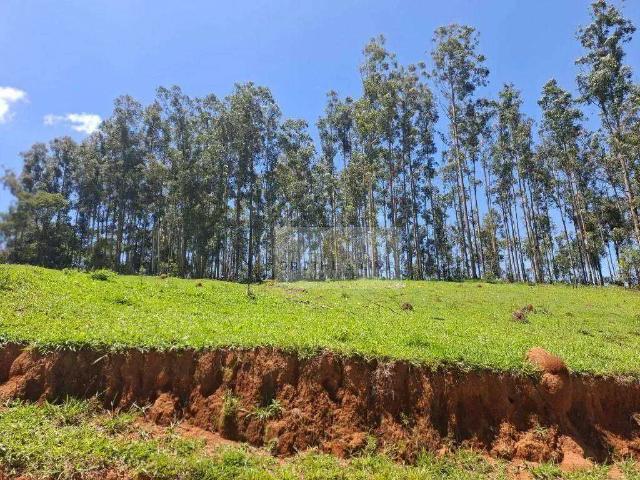 Fazenda venda em Região Geográfica Imediata de Pouso Alegre, Borda da Mata