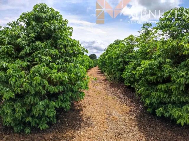 Fazenda venda em Região Geográfica Imediata de Poços de Caldas, Botelhos
