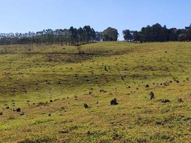 Sítio e chácara venda em Região Imediata de Botucatu, Botucatu