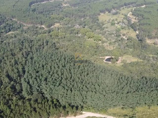 Fazenda venda em Região Imediata de Botucatu, Botucatu