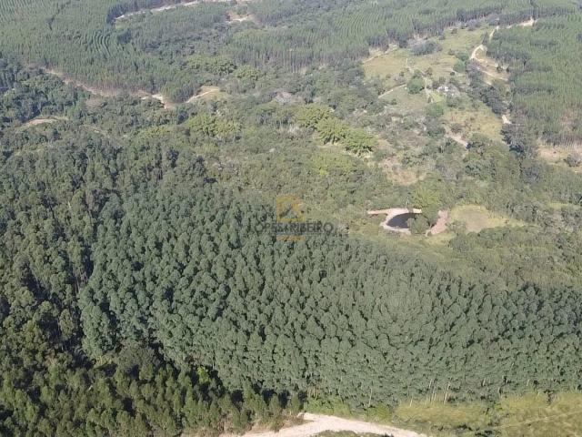 Fazenda venda em Botucatu, Região Geográfica Intermediária de Bauru