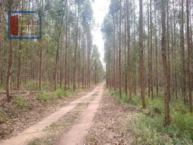Fazenda venda em Vila dos Médicos, Botucatu