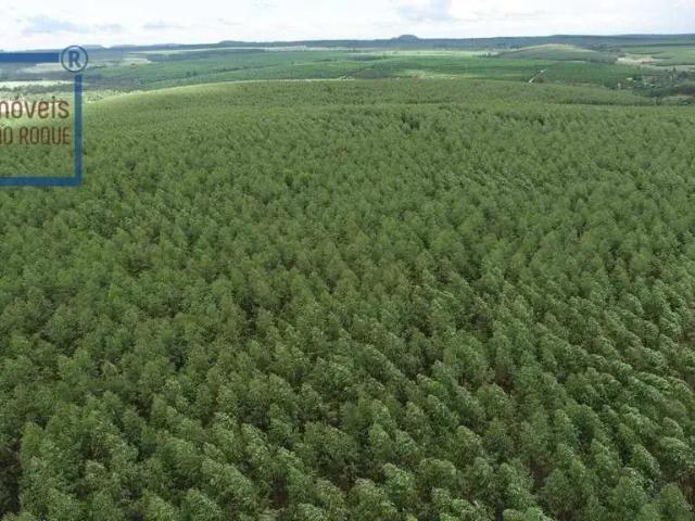 Fazenda venda em Região Imediata de Botucatu, Botucatu
