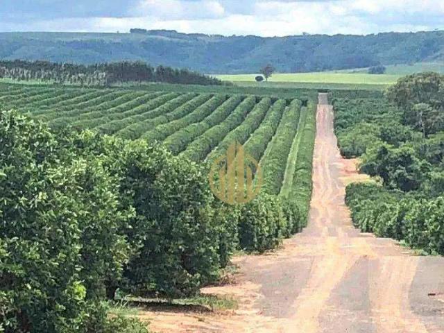 Fazenda venda em Região Imediata de Botucatu, Botucatu