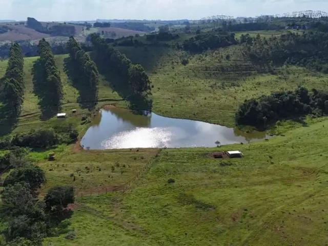 Fazenda venda em Região Imediata de Botucatu, Botucatu