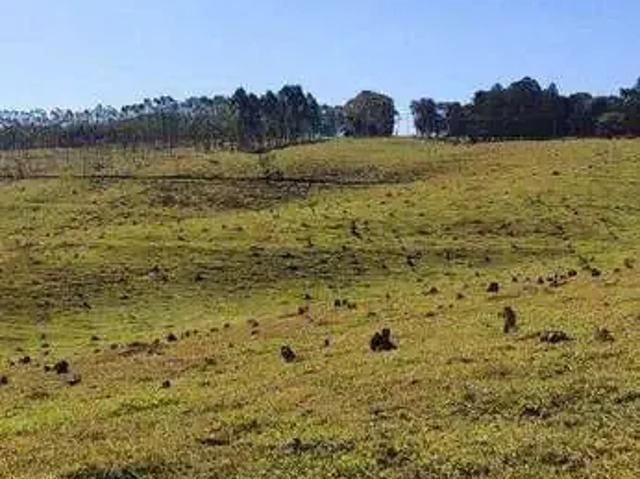 Fazenda venda em Região Imediata de Botucatu, Botucatu