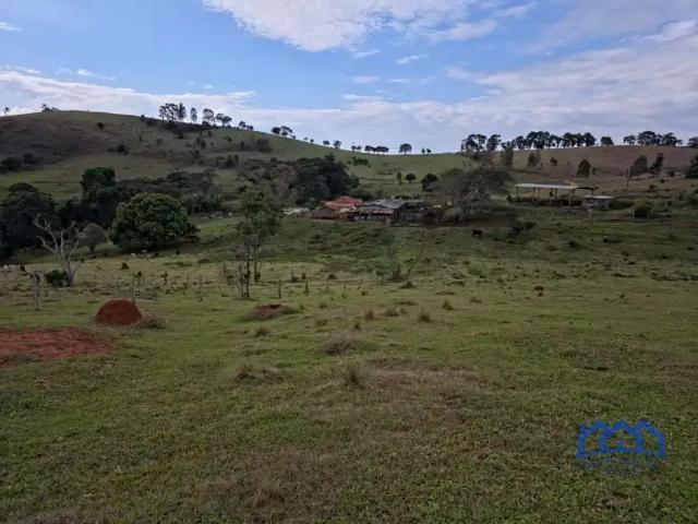 Fazenda venda em Região Imediata de Botucatu, Botucatu