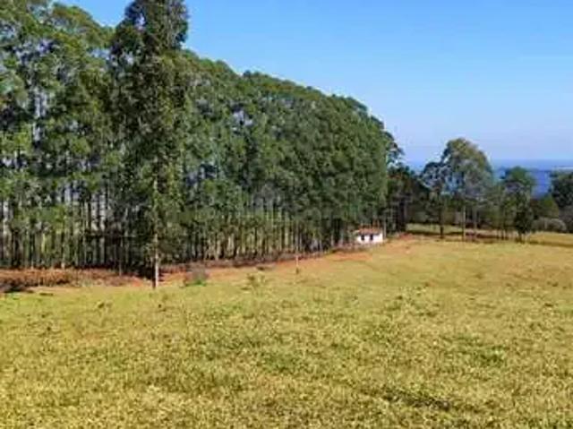 Fazenda venda em Região Imediata de Botucatu, Botucatu