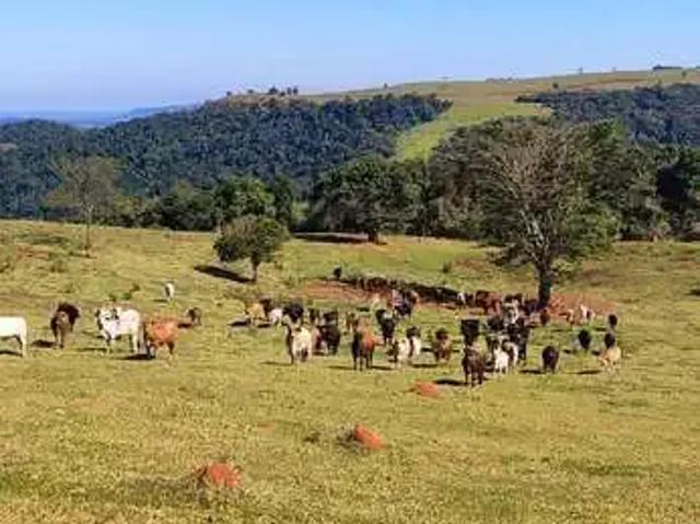 Fazenda venda em Região Imediata de Botucatu, Botucatu