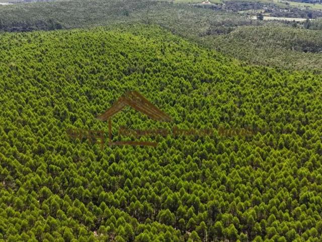Fazenda venda em Região Imediata de Botucatu, Botucatu