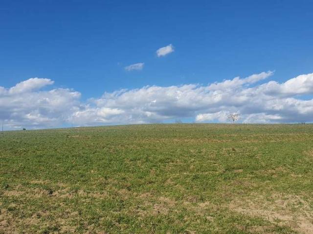 Fazenda venda em Região Imediata de Botucatu, Botucatu