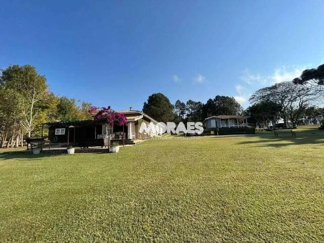 Fazenda venda em Região Imediata de Botucatu, Botucatu