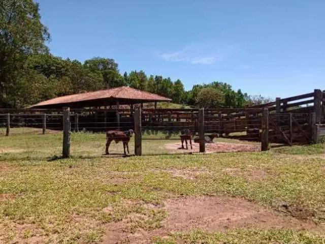 Fazenda venda em Região Imediata de Botucatu, Botucatu