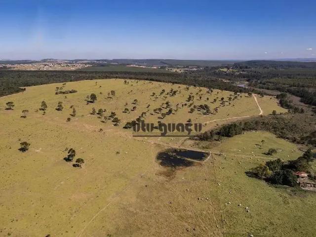 Fazenda venda em Região Imediata de Botucatu, Botucatu