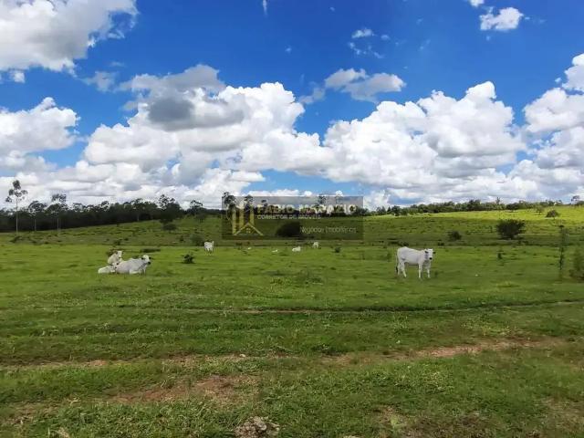 Fazenda venda em Região Imediata de Botucatu, Botucatu