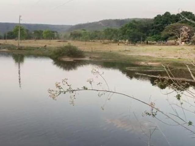 Sítio e chácara venda em Região Geográfica Imediata de Patos de Minas, Brasilândia de Minas