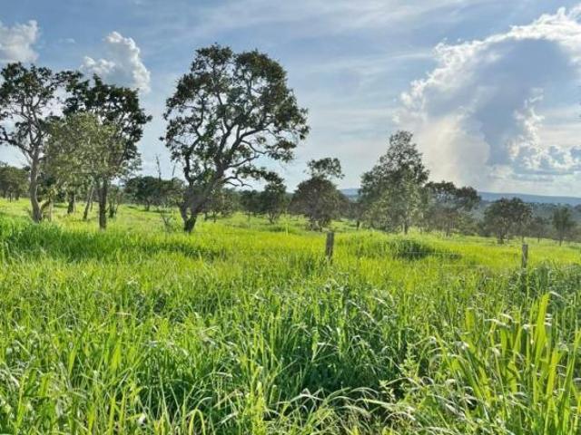 Sítio e chácara venda em Região Geográfica Imediata de Patos de Minas, Brasilândia de Minas