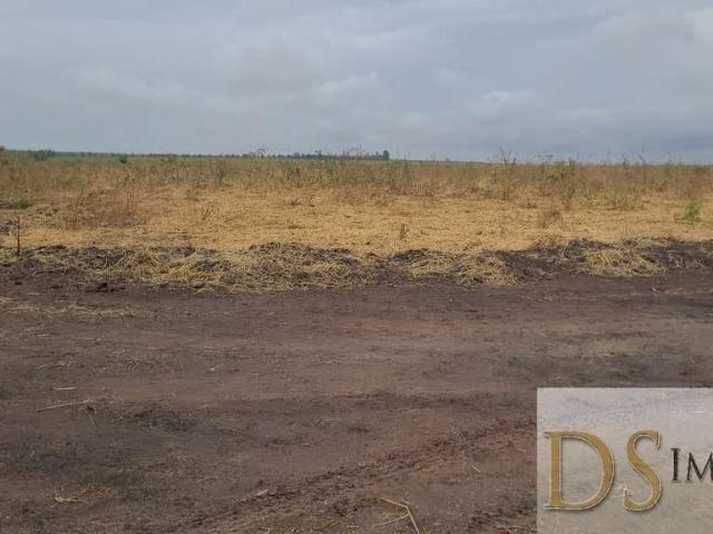 Fazenda venda em Região Geográfica Imediata de Patos de Minas, Brasilândia de Minas