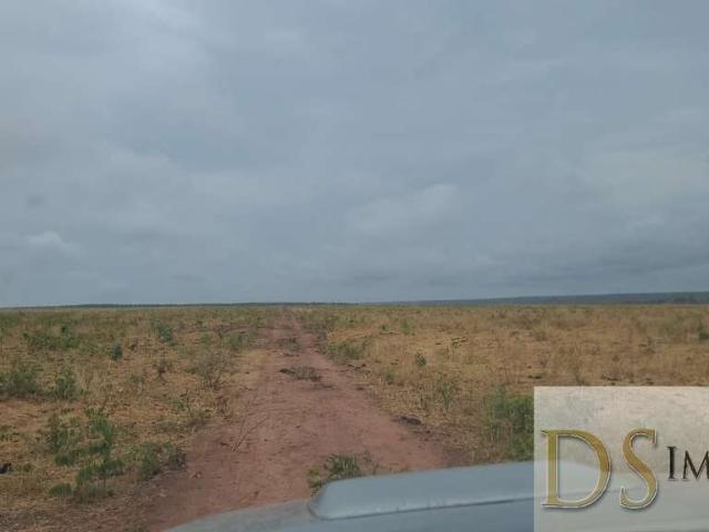 Fazenda venda em Região Geográfica Imediata de Patos de Minas, Brasilândia de Minas