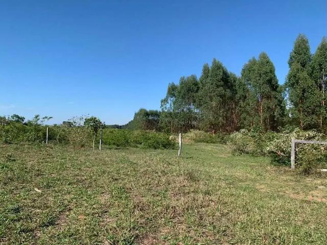 Fazenda venda em Região Geográfica Imediata de Patos de Minas, Brasilândia de Minas