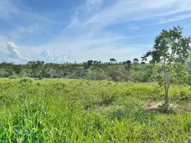 Fazenda venda em Região Geográfica Imediata de Patos de Minas, Brasilândia de Minas