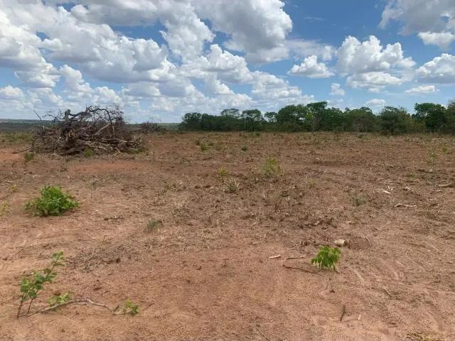 Fazenda venda em Região Geográfica Imediata de Patos de Minas, Brasilândia de Minas