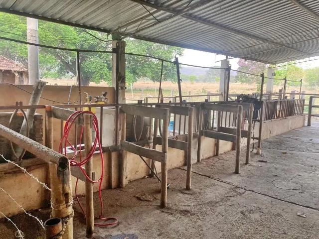 Fazenda venda em Região Geográfica Imediata de Patos de Minas, Brasilândia de Minas