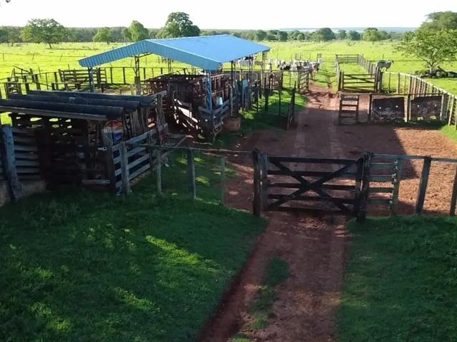 Fazenda venda em Região Geográfica Imediata de Três Lagoas, Brasilândia