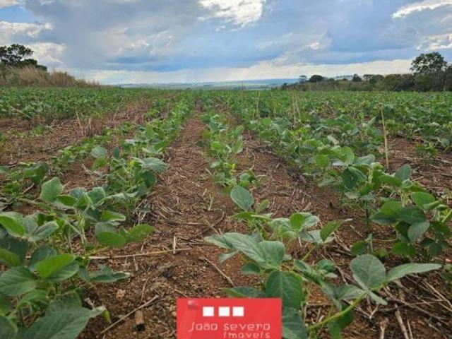 Sítio e chácara venda em Região Geográfica Imediata do Distrito Federal, Região Integrada de Desenvolvimento do Distrito Federal e Entorno