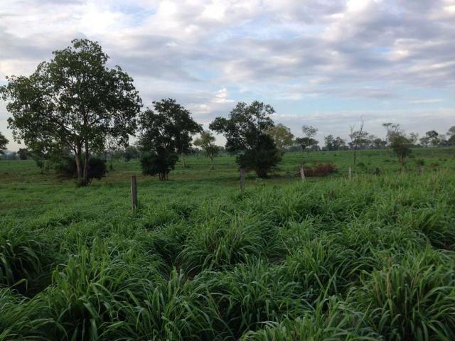 Fazenda venda em Região Imediata de Campinas, Região Metropolitana de Campinas