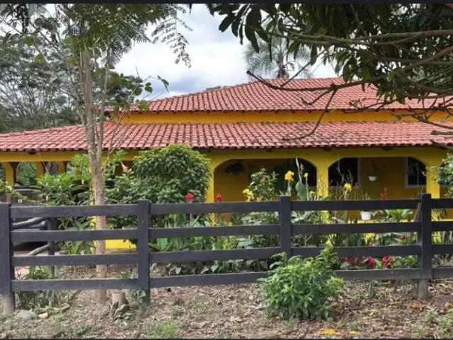 Fazenda venda em Região Geográfica Imediata do Distrito Federal, Região Integrada de Desenvolvimento do Distrito Federal e Entorno