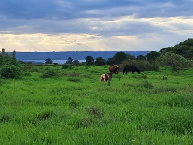 Fazenda venda em Brasília, Plano Piloto